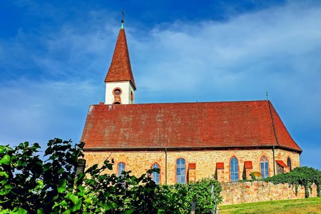 Kostely se znovu otevřou už od 24.4.2020